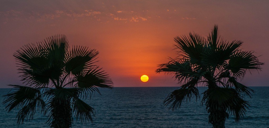 https://images.ecency.com/DQmYgGbXEQT8d85QtNsHZ692CRdvmaesZnL28MXF3nV9hyV/dsc_0009_1.jpg
