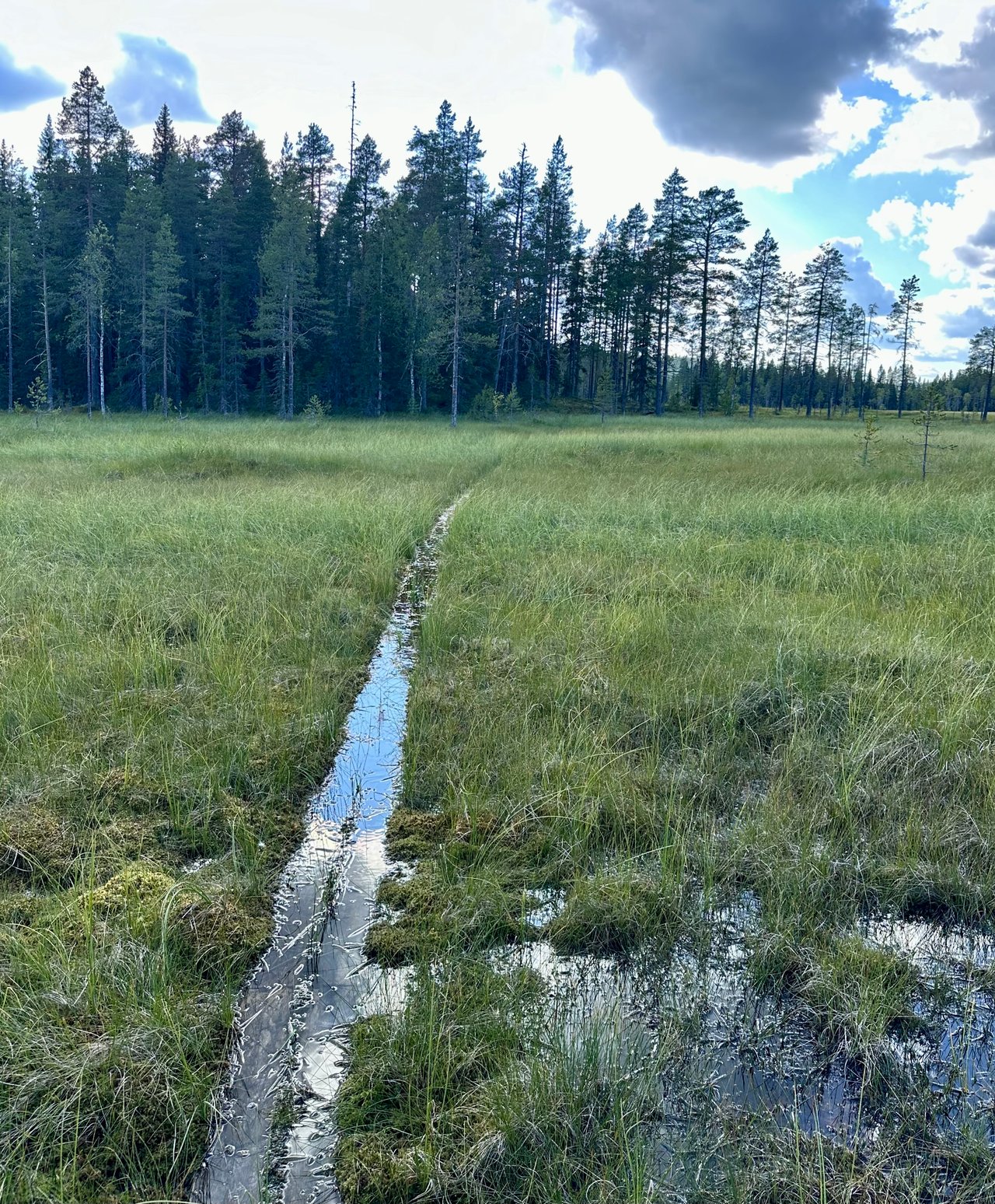https://images.ecency.com/DQmYkULG2vtFcKS6EgmHV3jXPotK2rjTQbjumdaGa6YfVG9/img_6920.jpeg