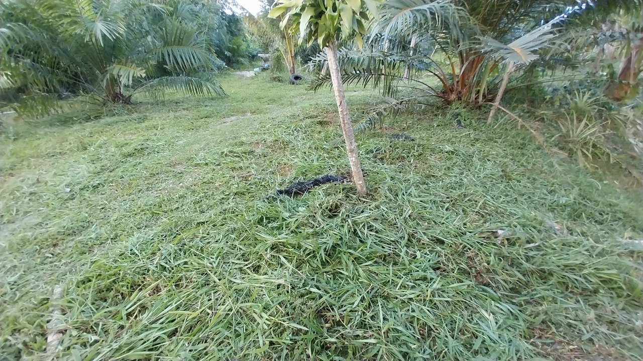 https://images.ecency.com/DQmYs1CZmXtBzYxnhyFLgASri2YEsg8o4KKxNRb7pcCxCRn/1746085400831.jpg