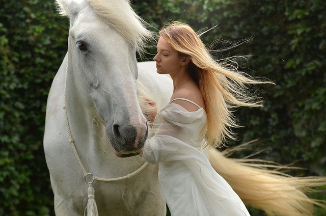 https://images.ecency.com/DQmYtCa1pQWaUHwxM2jp37WqdMjG7cA4w1rB6kHUGEdMqqM/woman_3551832_640.jpg