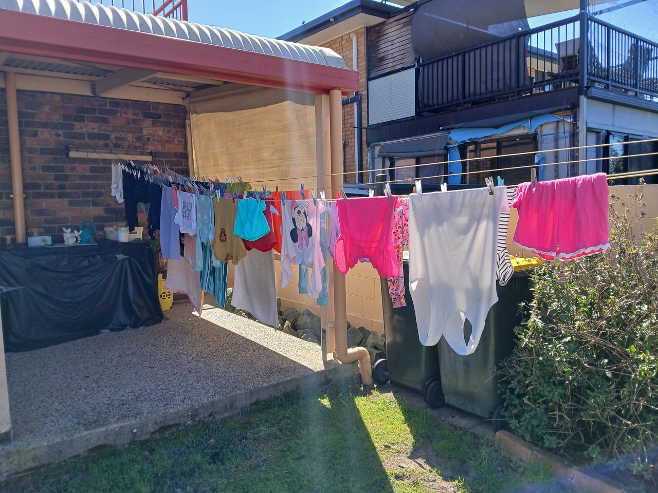 https://images.ecency.com/DQmYvNiMA96xwzAnEnQNrFgKrKDUpXySbpf5gkTF1YmHwX9/2025_sept_2_washing.jpg