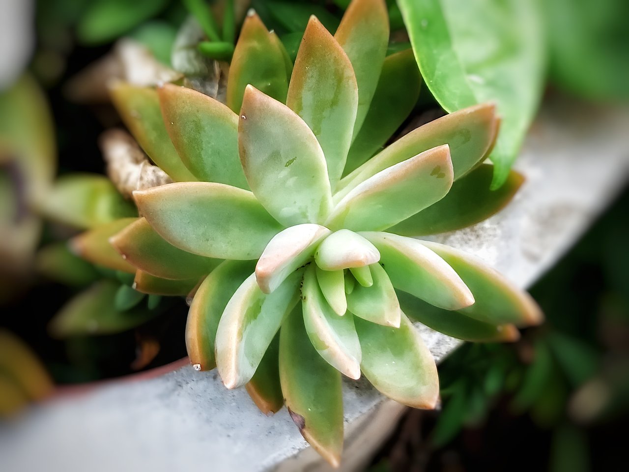 https://images.ecency.com/DQmZ9uMD3qJhgKkU7WMngfA4V6YdGJAcgVoxA3aoByRosJQ/1751124874030.jpg