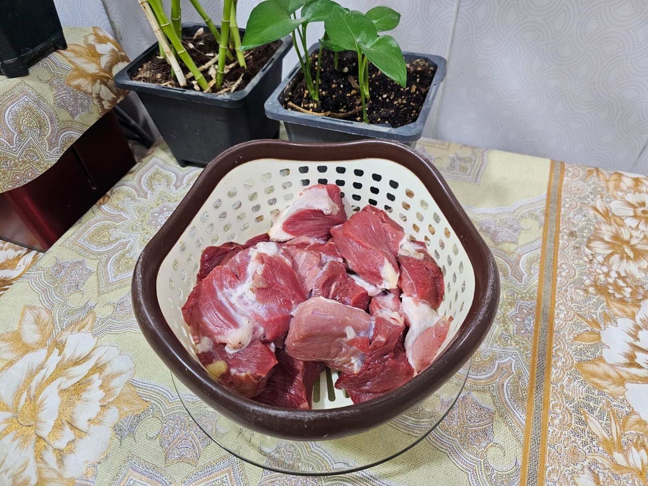 https://images.ecency.com/DQmZL6rRaVAr5NMbu3qaxtWJuKtNQXqoGtZ1etwDwXJU9JZ/1730782498602.jpg