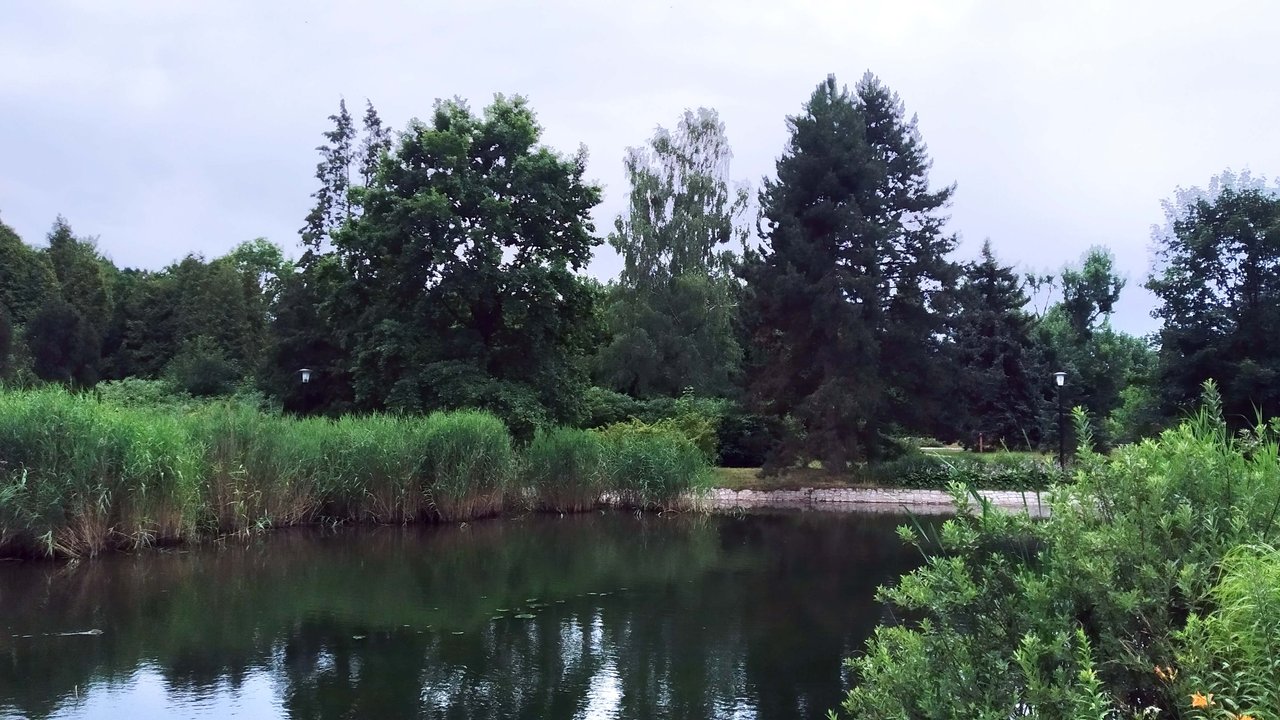 https://images.ecency.com/DQmZUyyAbtgSavQM1VFEFnj9pDsrd6zwtmxkyXGE9R1gF8V/ac22.jpg
