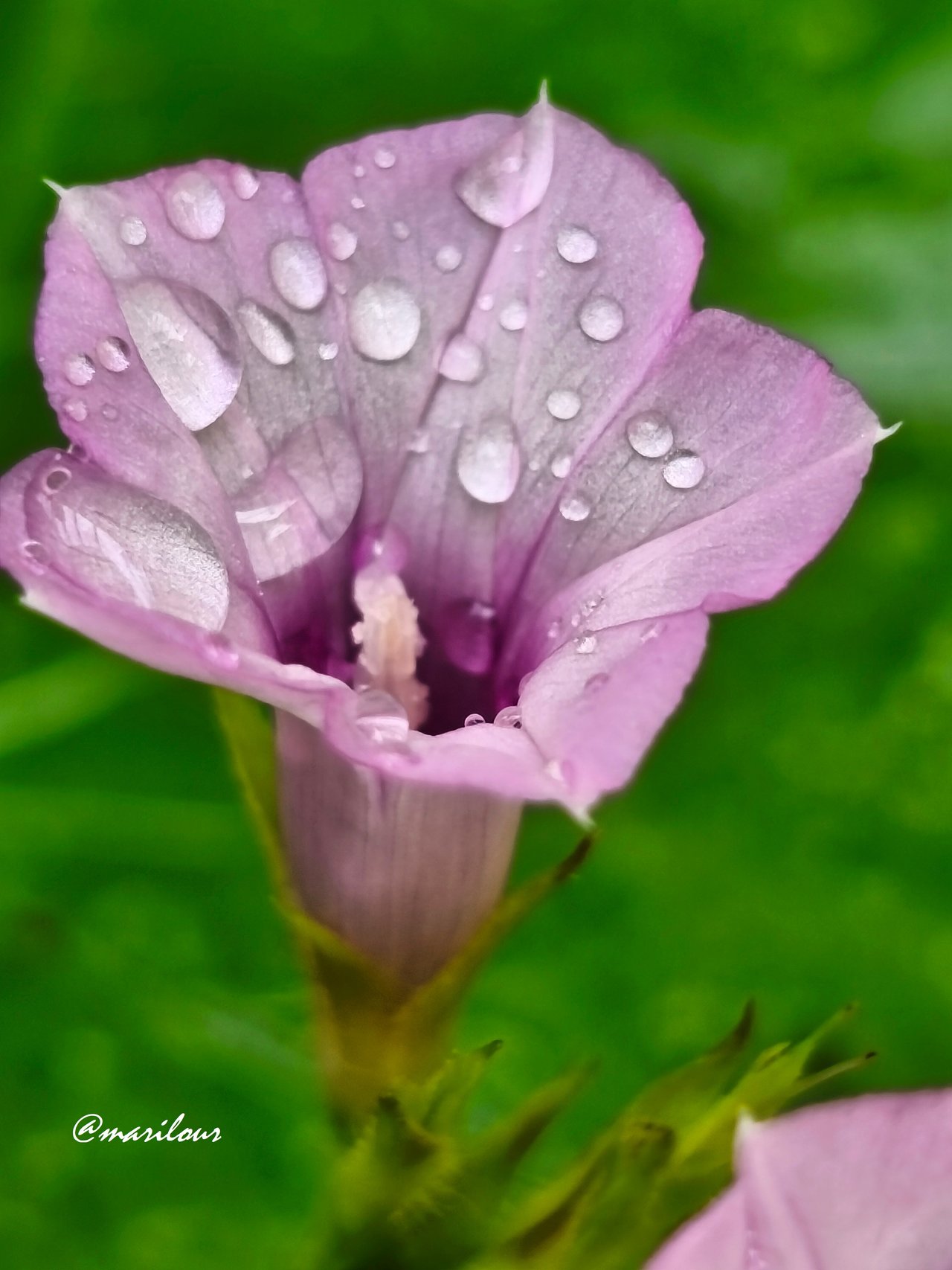 https://images.ecency.com/DQmZbJqcx7n3QQdRRXjBH6cCdgSiZpmWn3wv7tzaq2KYf8Z/1000106456.jpg