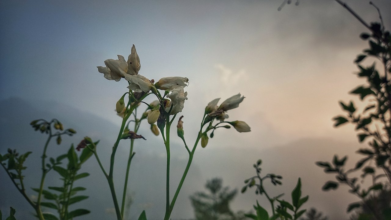 https://images.ecency.com/DQmZcJwnodFY1J26oh5FzVVPDpKgNYfU9ZFV7Y5dn1XS7HC/1751132349561.jpg