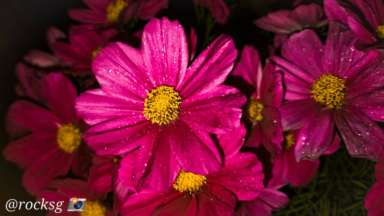 https://images.ecency.com/DQmZkF5eNPvo6RRp1TvphvQTm3Le9fhSUgb99K2J3QDdEDH/1708416517419.jpg