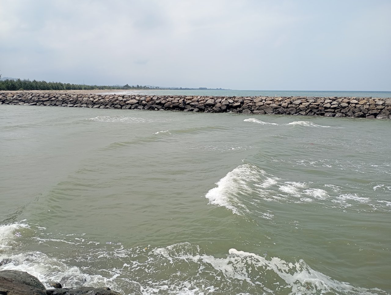 https://images.ecency.com/DQmZpcy7847cyahKK88e28yBmK7cXwoD8CbGrTWLhvAuQ9w/1000751123.jpg