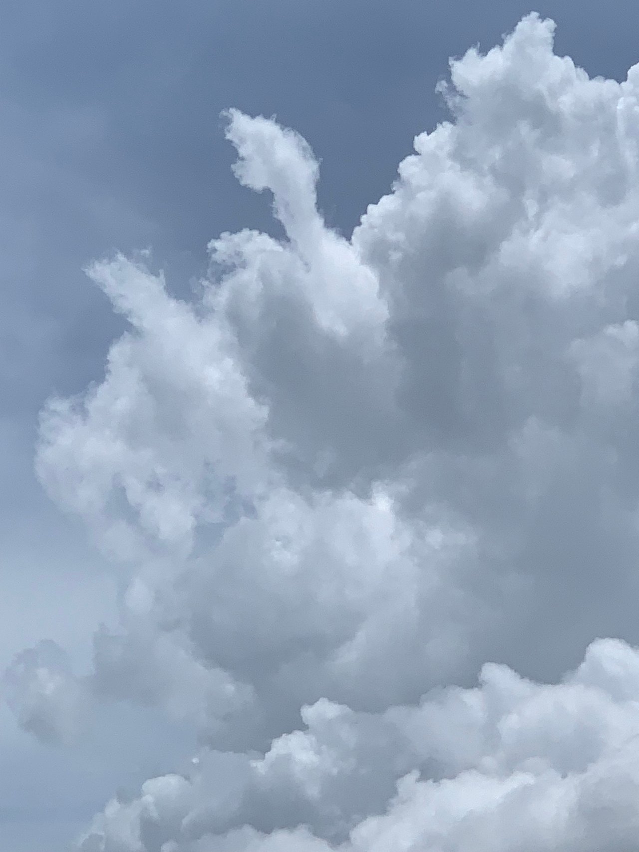 https://images.ecency.com/DQmZyBYigyqN8KneT1FEfN4Y162HSwy9GwMksotaHBuzz4G/clouds12.jpg