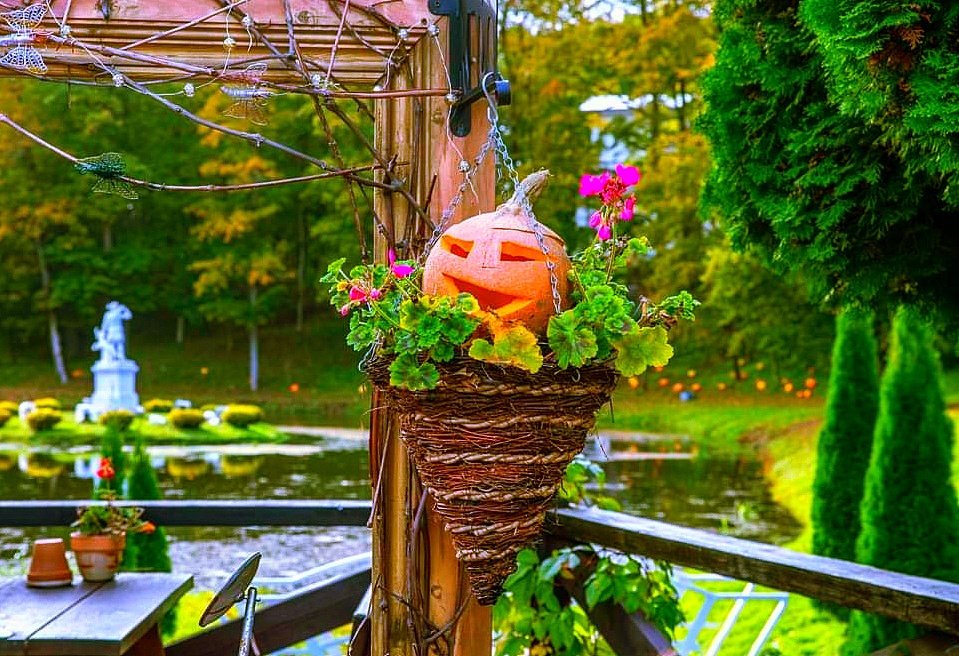https://images.ecency.com/DQmZynqaEM7jy729gTKdfwns3A27ZheJMxi3jykf85CNfrj/20231031_184033.jpg
