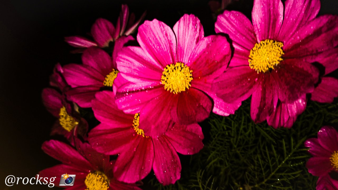https://images.ecency.com/DQma9YH8NeWckBMujsV8MgdeayhBFKZKnNZQAXw7p6sj4aw/1708416517460.jpg
