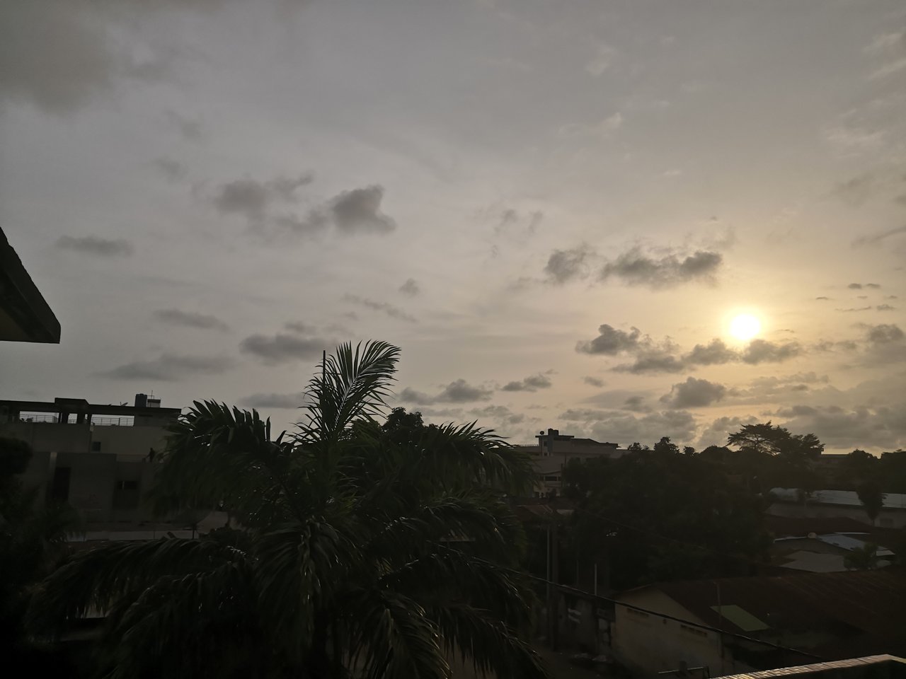 https://images.ecency.com/DQma9bejMFAp4KpfkhWYJWaiVGjcy9JZgF5ECo43QEuJb3x/img_20250414_181254.jpg