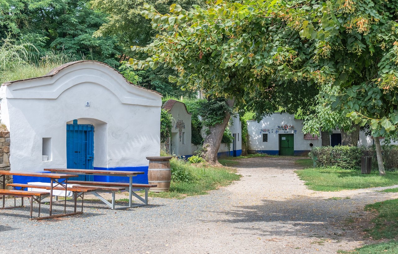 https://images.ecency.com/DQmaJHw3uyNBthm4jp2ozLBZE97ubxfWkE3mzT7Ma9h22jD/_dsc0185_1.jpg