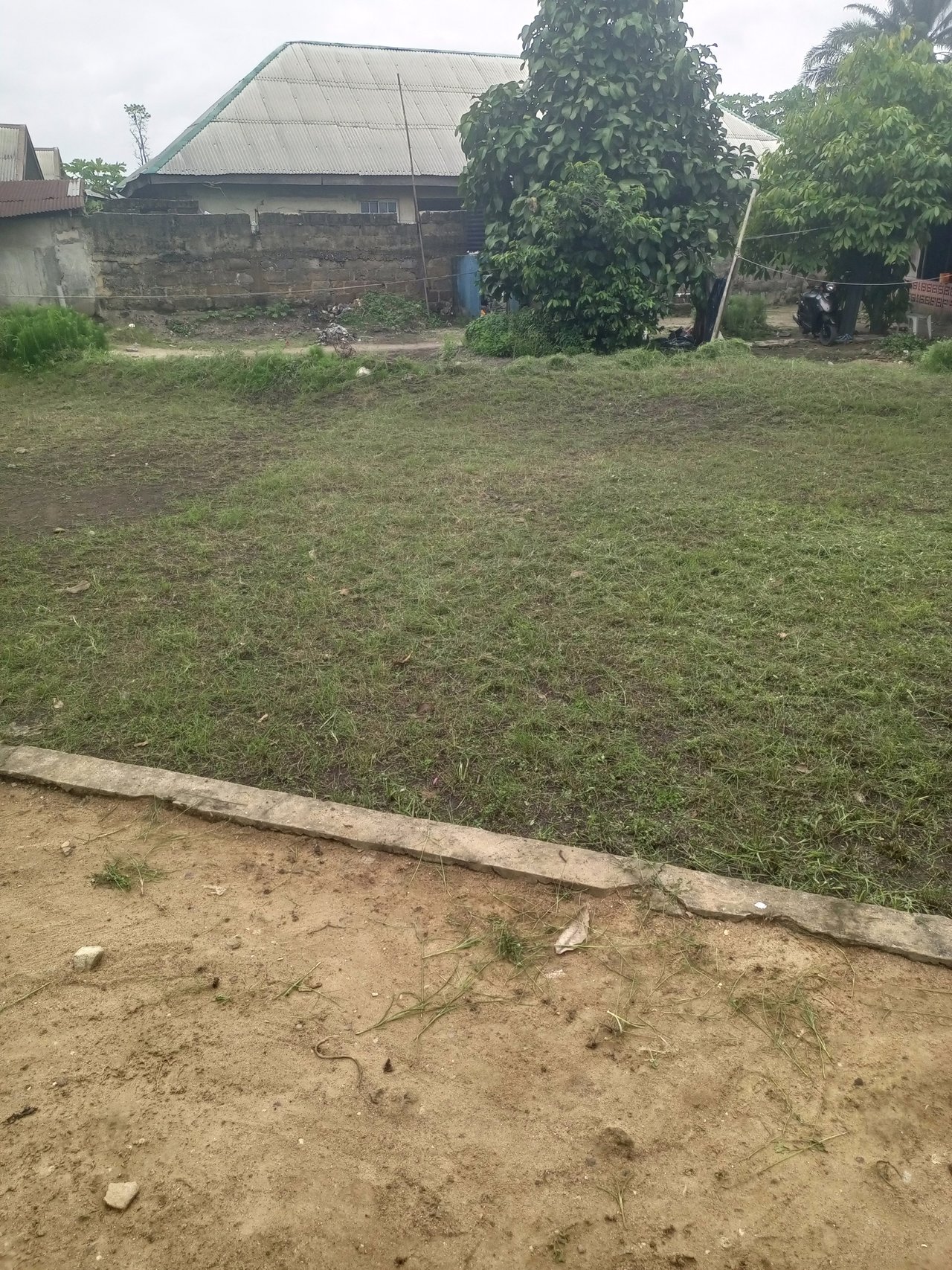 https://images.ecency.com/DQmaKppeecf8CizM979E4CGyS7zJLF7bTjJ5SKNjT7u2rJa/img_20250628_095522_663.jpg