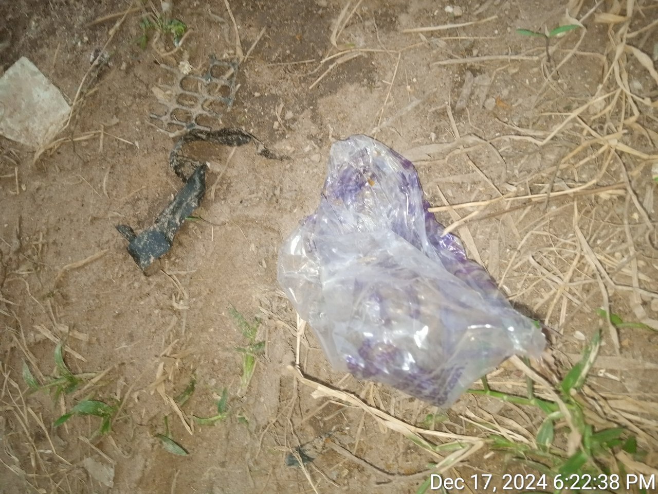 https://images.ecency.com/DQmaN9cHoWovWRD9v75F3rShVJBkmayKQmJkiDp2Yx99J3k/timephoto_20241217_182238.jpg