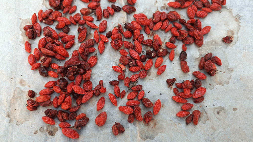 gojiberries.gif