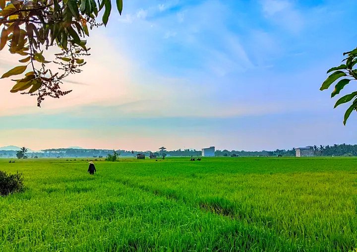 https://images.ecency.com/DQmaUVybHuUBtbYPvPLf1pBZxc715UZ6mA9zr3qzaWLNt5f/1749951141481.jpg