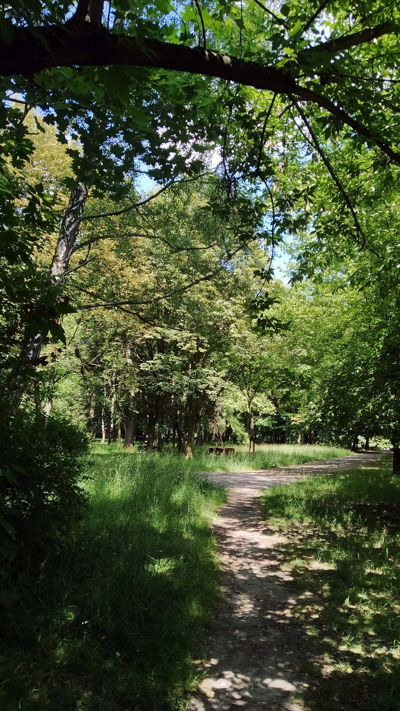 https://images.ecency.com/DQmaUcRaXgLhHMVrYdX1oBDyo6QZRv5huVd6eA4JtH2bspa/a05a.jpg