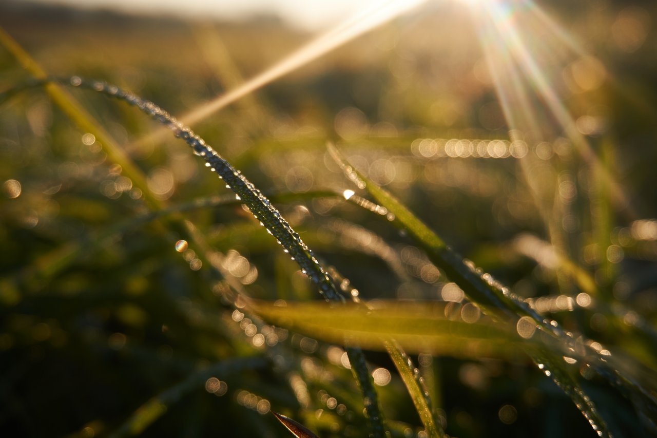 https://images.ecency.com/DQmaWnKovrJHDFs2agRkfpcrNnkFRBZonrSqv2bHHprV8Td/dsc01963.jpg