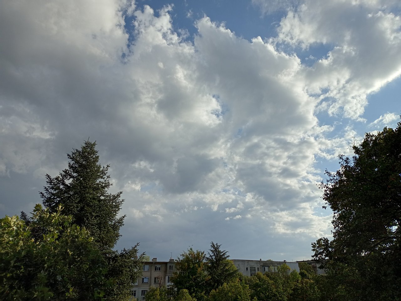 https://images.ecency.com/DQmaZjBmRzMAVR8HhuT1XT3TfFtnhuqkKhGK8iKpzg1jdT4/1756655686753.jpg
