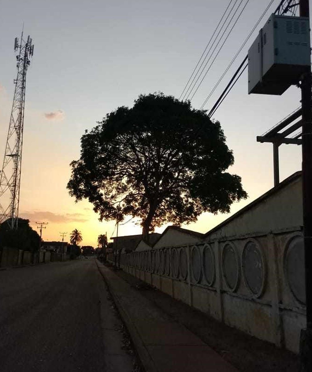 https://images.ecency.com/DQmadLfoV9Ume6FqJxHm1bsbTpg478iySiA6GiFUnUVuxZw/490452485_1422133342286033_2078199190511728978_n.jpg