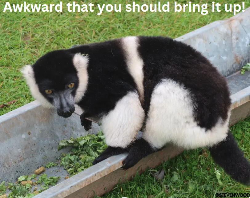 https://images.ecency.com/DQmanmKRy6mcEsEtLuYzumTQctEULXBcXBZZJKUfwTuuRhW/image.png