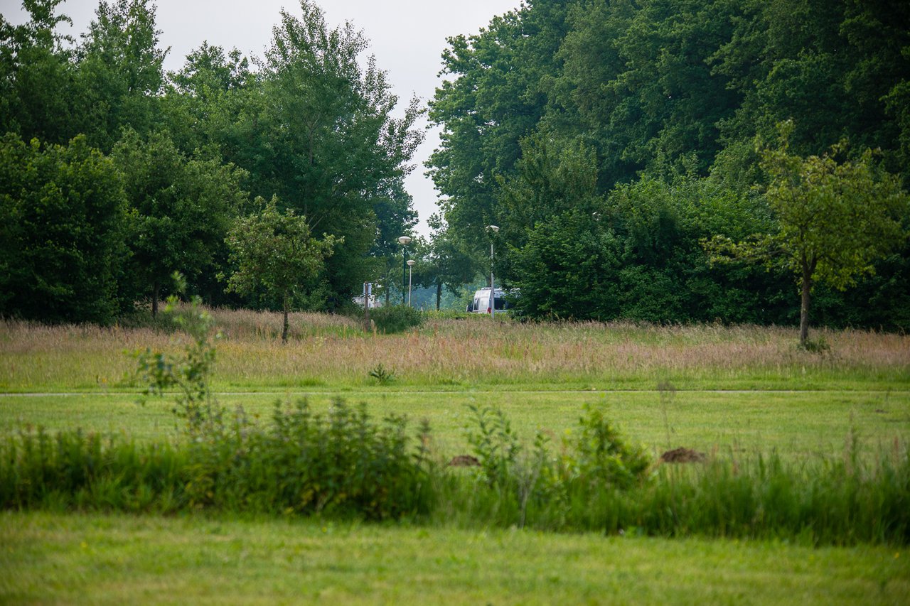 https://images.ecency.com/DQmaw34VKjGPEebnXWZtqrwXTxMSs6pHCrPXtZnPXXTaz2L/30mei2025_06029.jpg