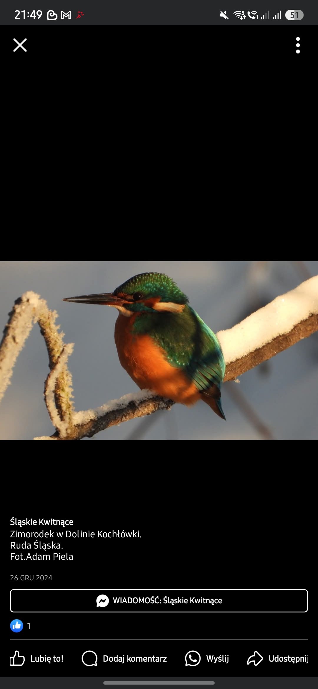 https://images.ecency.com/DQmaxLhJFYmLtSE9kGX773SRVF6F5XREXTRgPZ6fii9yXnN/1742158208399.jpg