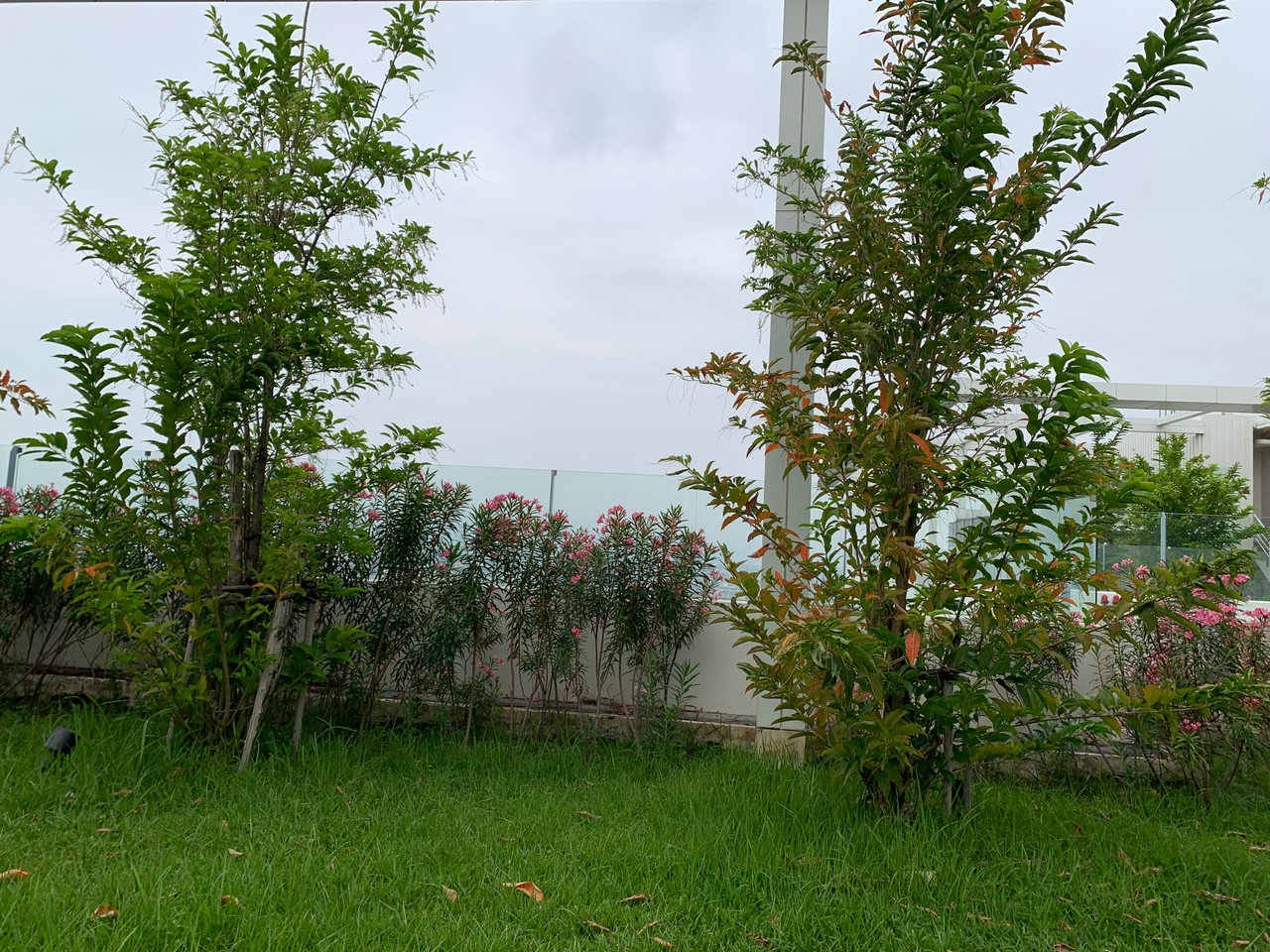 https://images.ecency.com/DQmb5Lv5ybNdszRypb4p7epdgBuja89vBciaKJSqbe8vdhM/garden106.jpg