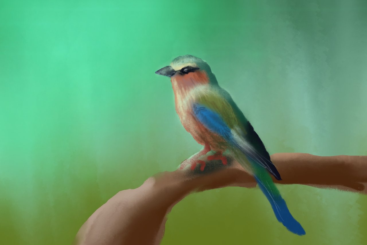 https://images.ecency.com/DQmbCf1xXBqoLJB457MSxngGsh2qhemehGw7xnZ87PHhGGi/1739306342040.jpg