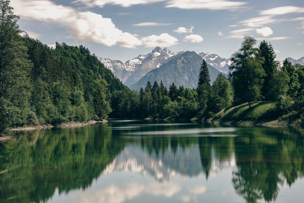https://images.ecency.com/DQmbGhKmaywgf8deNV6fXqJ39HodmBB2Zr8C8TVHWaX6wxo/photo.jpg