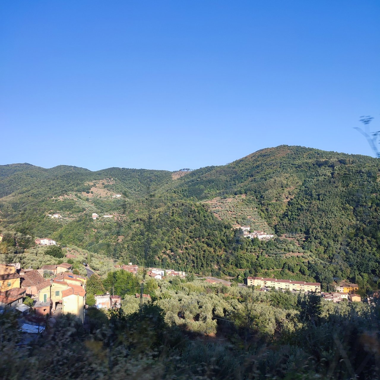 https://images.ecency.com/DQmbPdrCsTXHKNtz5sZBUQkEh7daFQEqEURdU6CaSCdKP1z/1756573656383.jpg