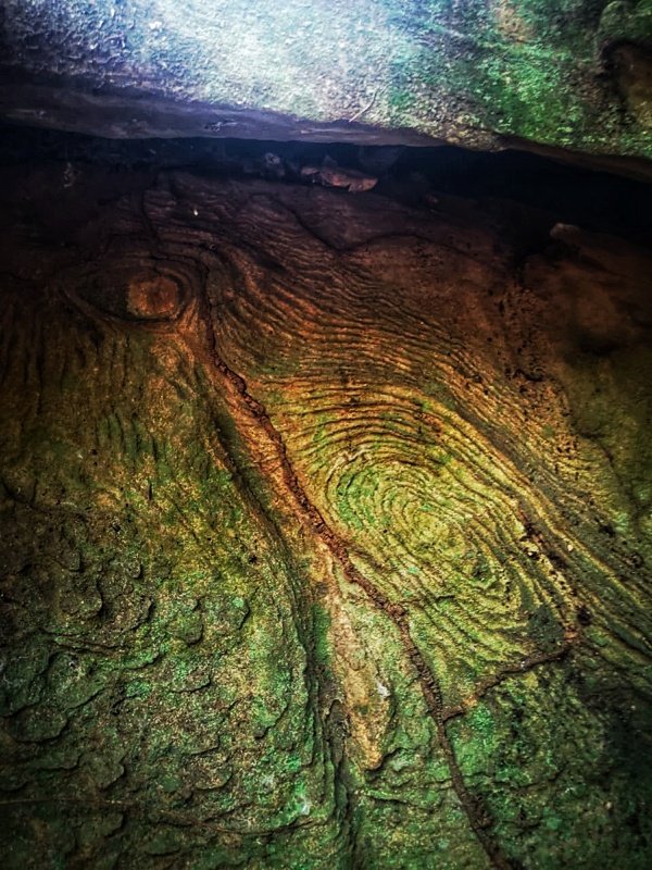 An unexpected vacation surrounded by magical Nature