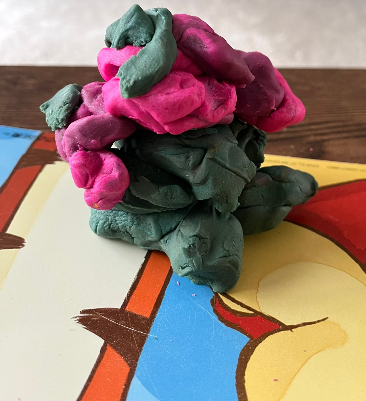 Photo made with my Iphone SE 13