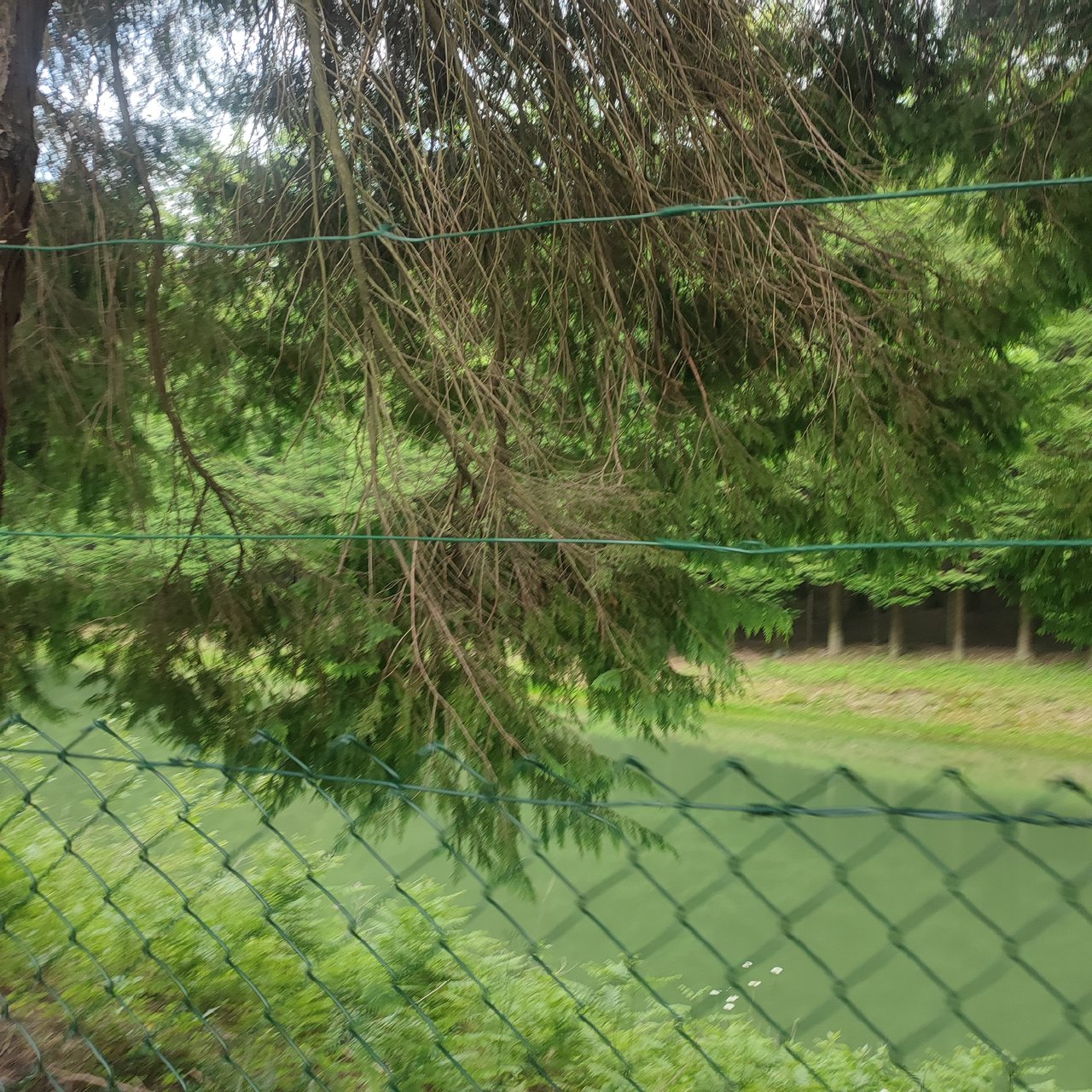 https://images.ecency.com/DQmbXTpVSp17WpZbK3JMPAimvgLzgGHLZEXDsEZT8jDFbnx/1752866633862.jpg