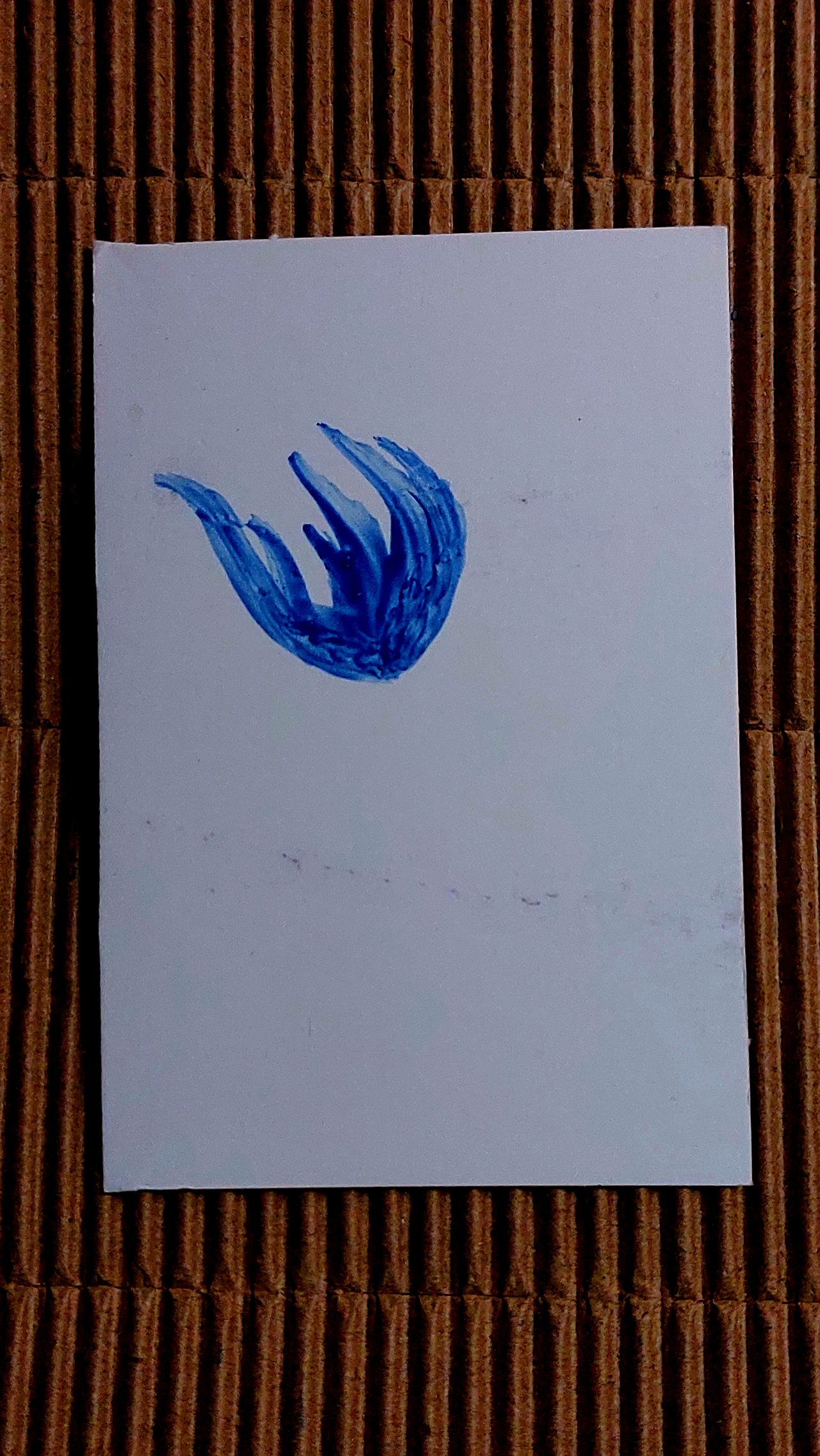 https://images.ecency.com/DQmbaeQm5eF2dZfEeoTJM2LLPkuTh4nNxyxPBPyBbXex38N/20250305_042132.jpg