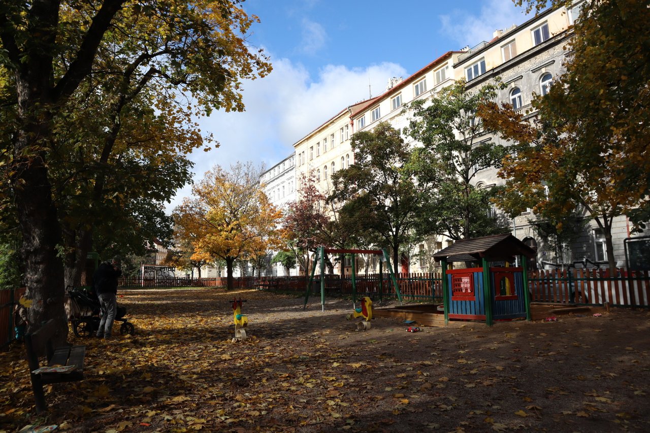 https://images.ecency.com/DQmbecdqGTciJvKWFbhBXudpyQNSUCotbV8eWMjt6QwvyXc/img_0561.jpg