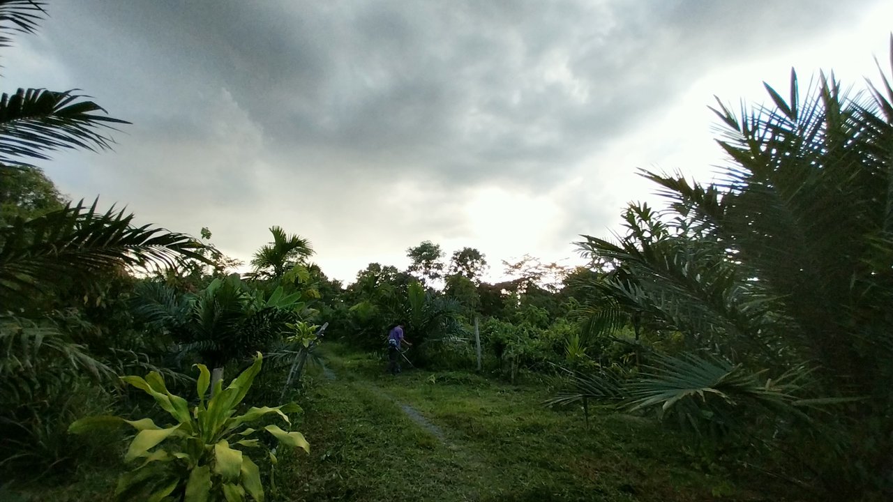 https://images.ecency.com/DQmbiqS9hKKE57ykjtg51y6daxpBEPQvxLxoTsXEcekAVqM/1746085401034.jpg