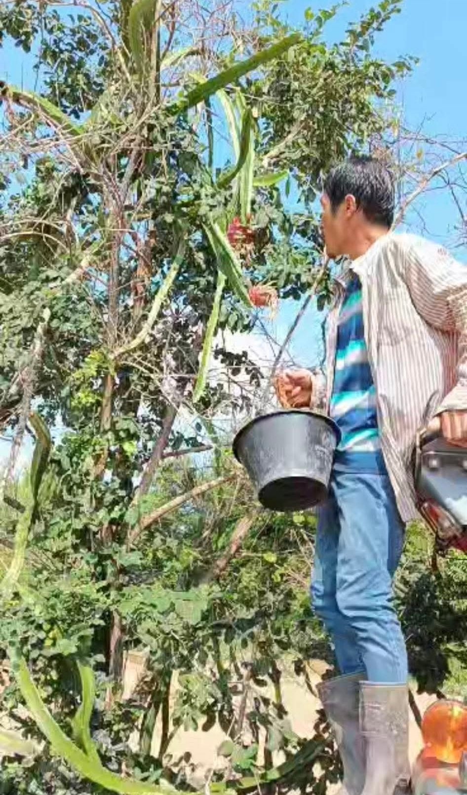 https://images.ecency.com/DQmbjLpYLrqsR4QvqUdWv9SkZ5F3uDvAoWYEHCqpEnHjMi6/img_4536.jpeg