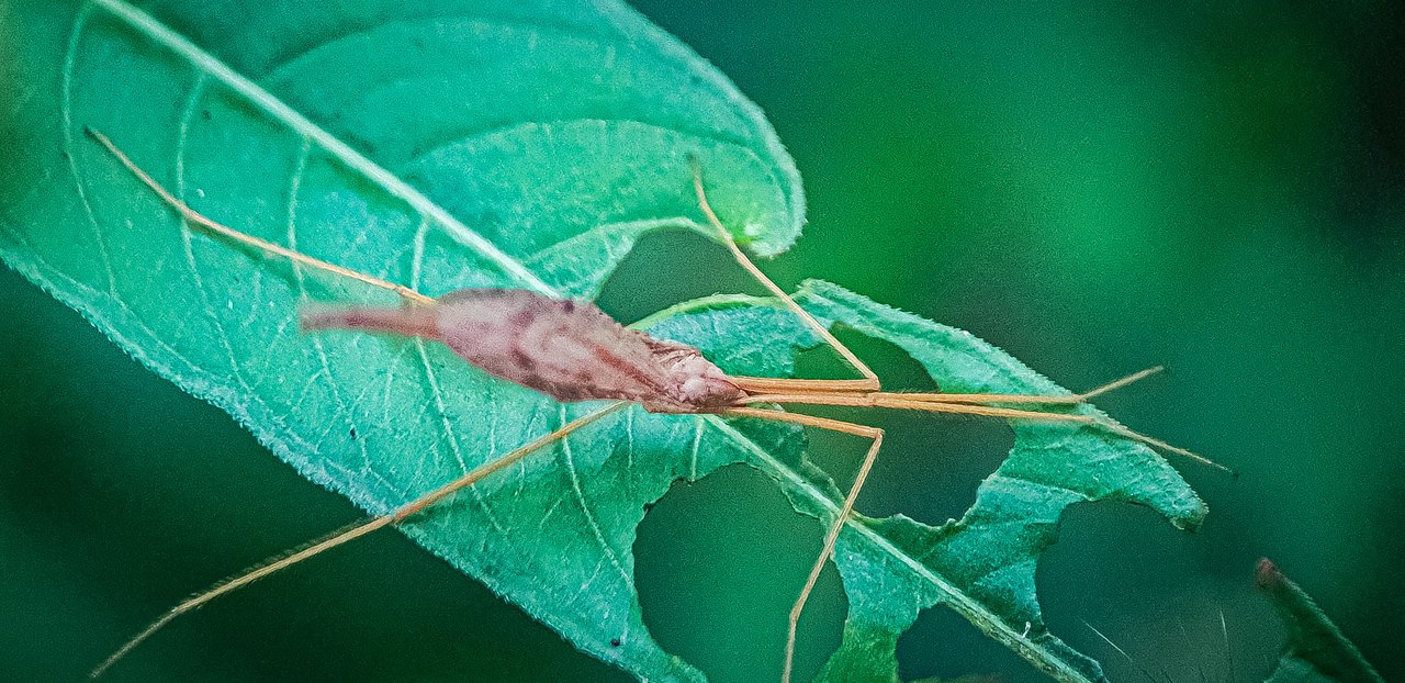 https://images.ecency.com/DQmbkVKdGp29mCnDf2QKBYerbKjy6J6uhjiCt7vF9JzuJEX/img_0.16712655557761208.jpg