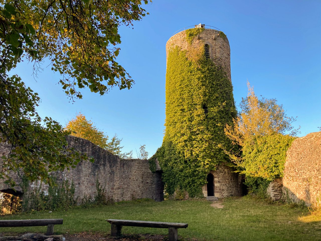 mossy_tower.jpeg