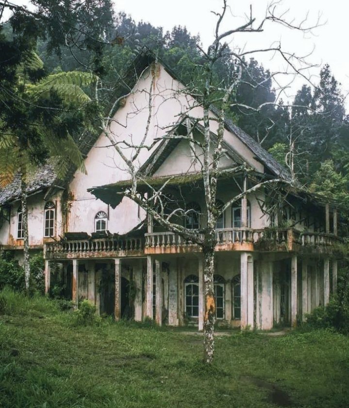 https://images.ecency.com/DQmbp7GYcudHdK6Gmuy7KEyghatEhXhs93caXXScSERpxiz/01_4_.jpg