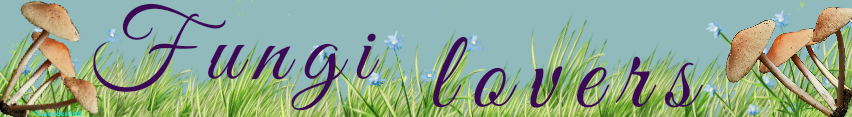 https://images.ecency.com/DQmbqS5JA7KyStStDGpuRdTo27o9oQtPj5NXdHLHpbsNB2S/fungi_lovers_color.png