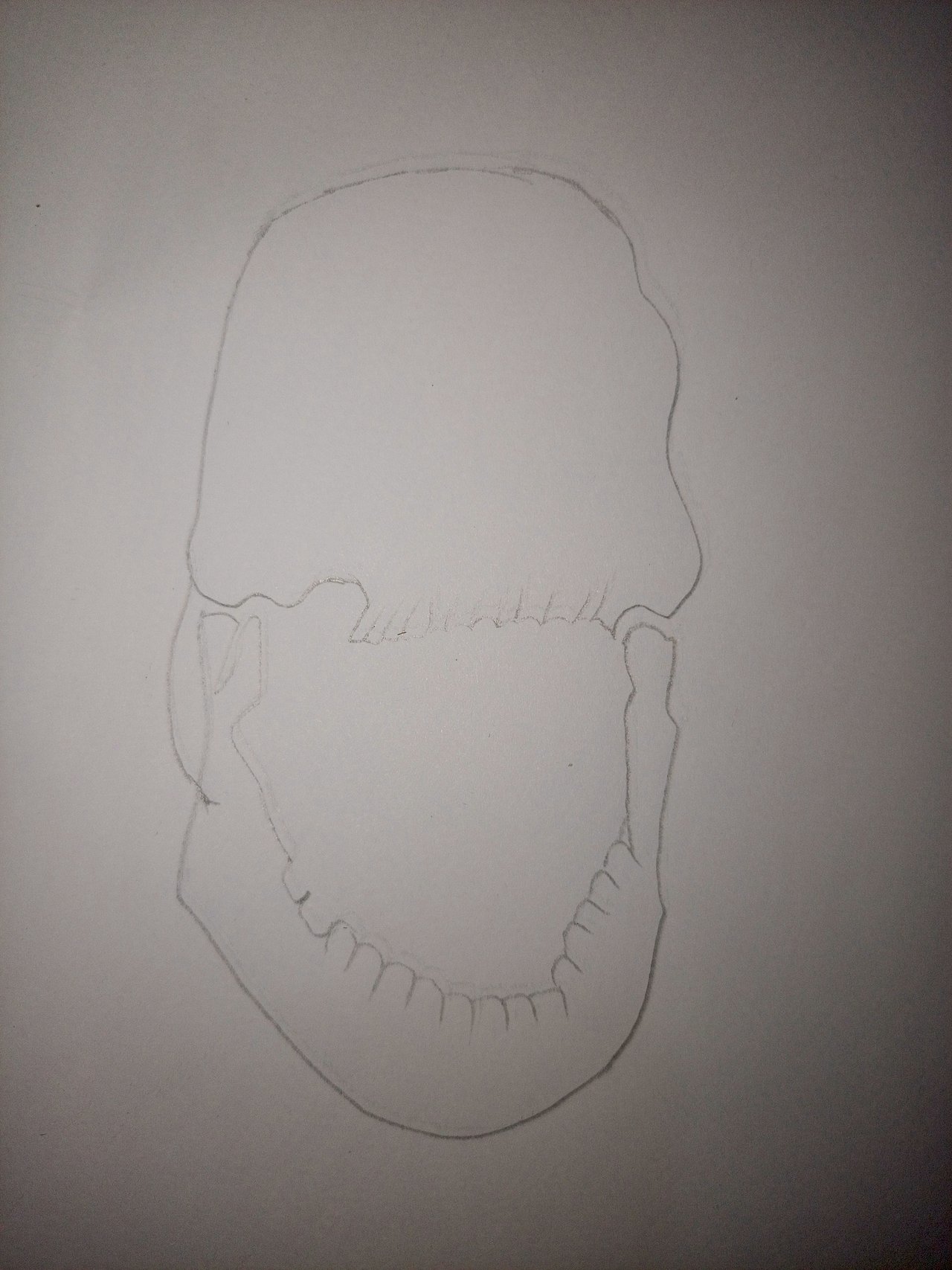 https://images.ecency.com/DQmbqkyZYPgCkebVF8wpD4YU2FjJgdkKunaZFd9iX2HB2oE/1750950108470.jpg