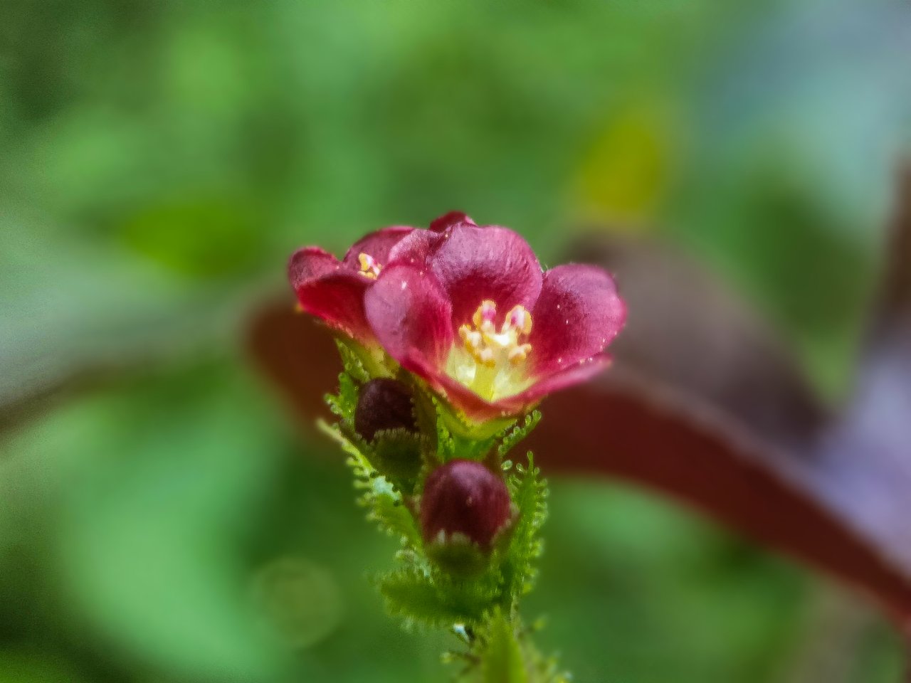 https://images.ecency.com/DQmbwTRT5GCD5sULts4QkwBBjDjCPPiCLsFxMpkviEBcWxm/jrk22.jpg