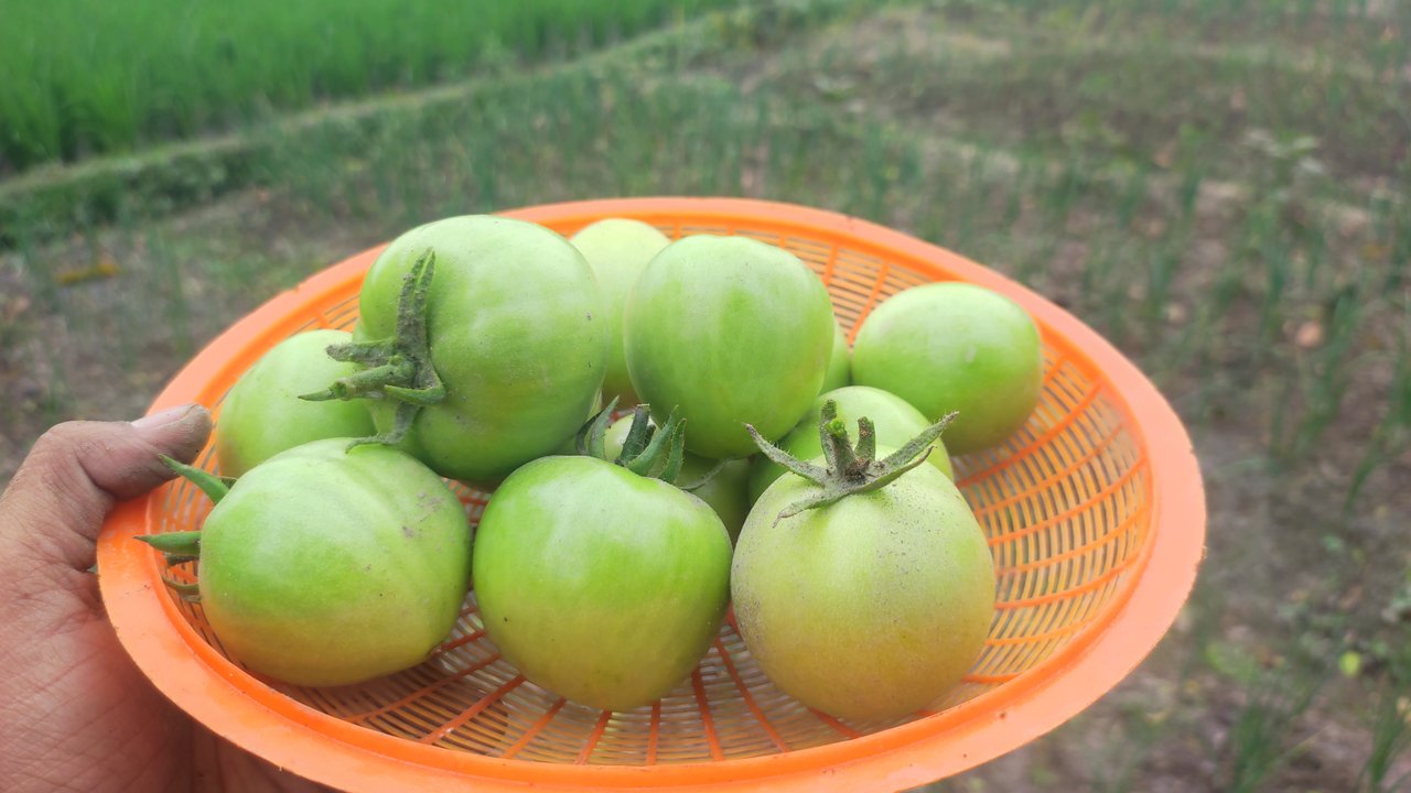 https://images.ecency.com/DQmbwUzkyhVpxkMpL6WBLupy8KkMw1psjmR4ymh5yC7RRWt/1746534572140.jpg