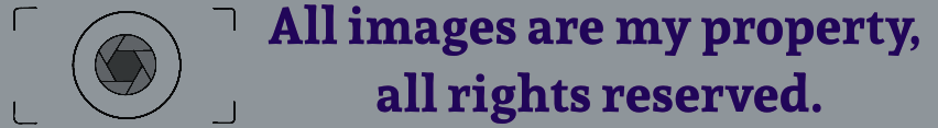 https://images.ecency.com/DQmbyiHc44FbKAZf1f3Ps24L8xEXkywHhPzt2LkTrVximgq/copy_right_lila.png