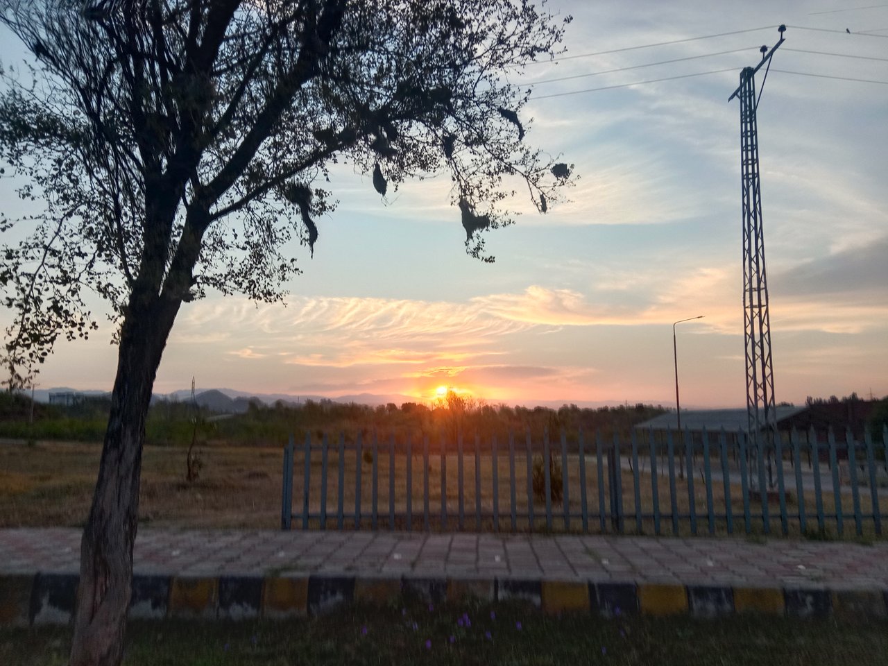 https://images.ecency.com/DQmc2pMkgQZuGkrQftfLFtAUHePpnJGHTJosKpsfS4AJ2vW/1746028070417.jpg