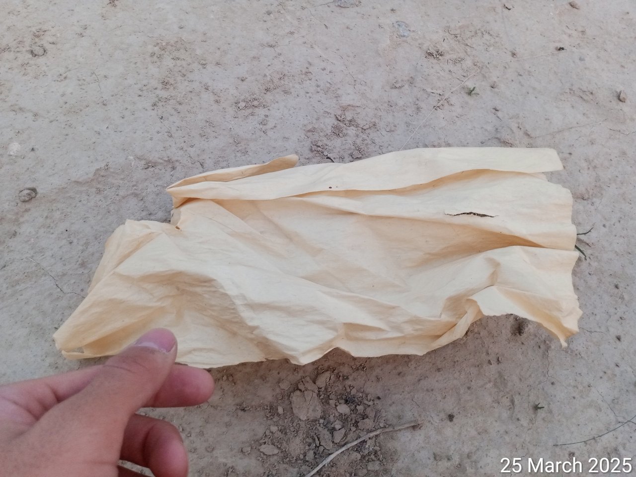 https://images.ecency.com/DQmc3znJPX9gWiowFV3ecdw5jcNHD9c9W4iaSbo5c4HA58k/1742924484294.jpg