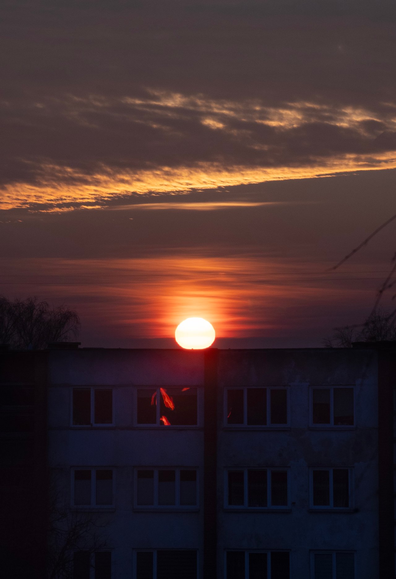https://images.ecency.com/DQmc4bzuSmJVeqk65a8F4yFmHP8vETwe8fn56jgJBKwgLLa/dsc02937.jpg